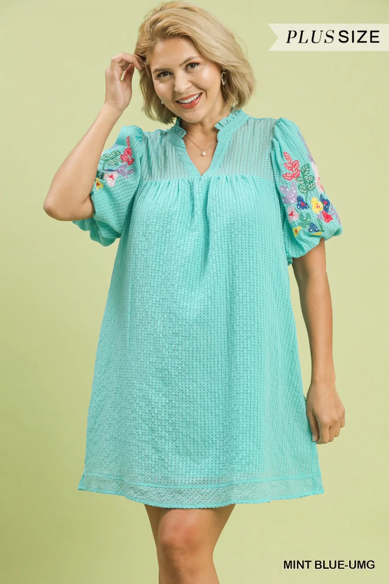 Embroidery Sleeve Dress