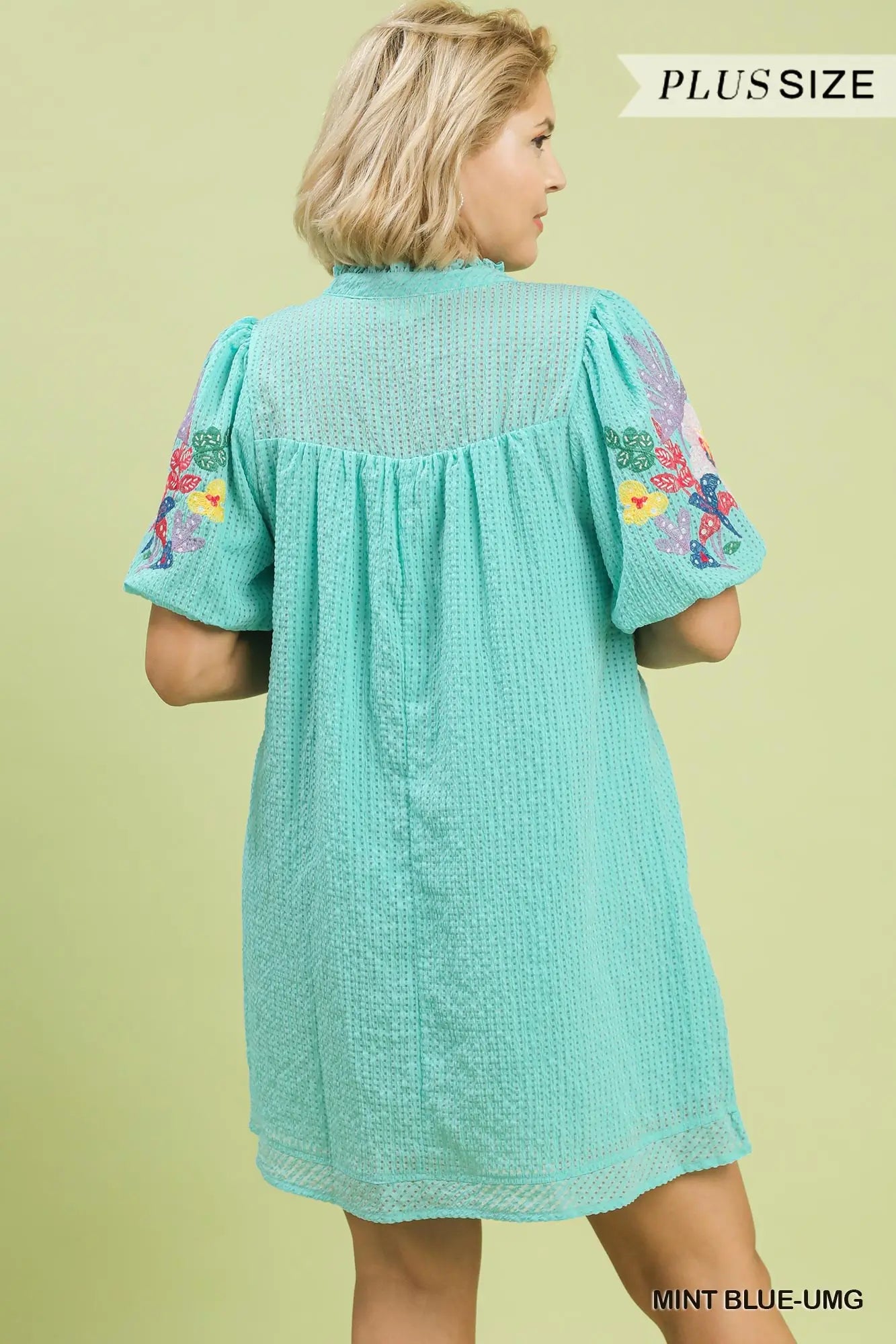 Embroidery Sleeve Dress